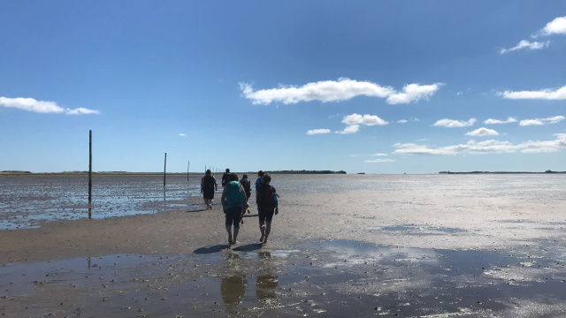PILGRIMS' PATH - HOLY ISLAND in the footsteps of the Saints