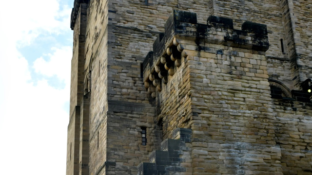 Annual admission to Newcastle Castle