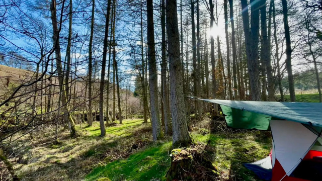 Northern Woodcraft