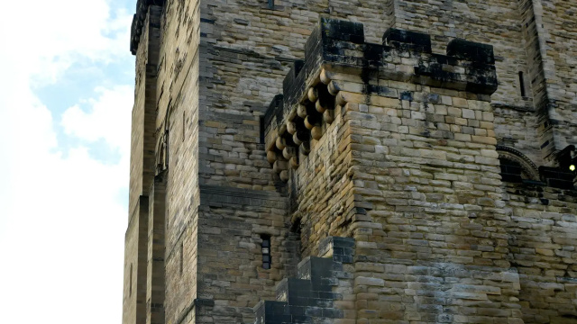 Newcastle Castle