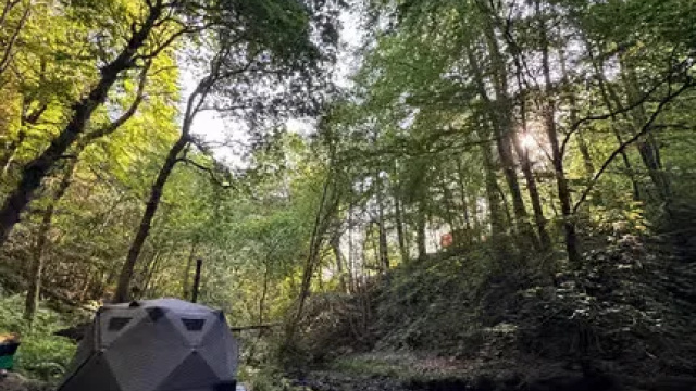 Hamsterley Forest Wild Sauna & Waterfall Swims