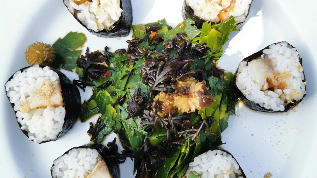 Seaweed and Sushi Coastline Experience