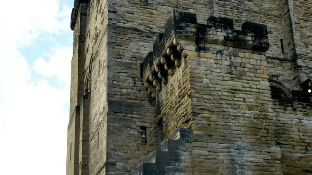 Newcastle Experiences